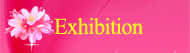 Exhibition